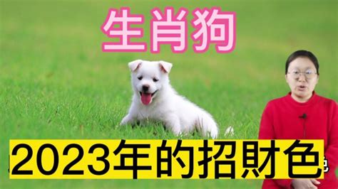 生肖狗幸運色|【屬狗的幸運顏色】解開2024屬狗幸運色之謎！提升。